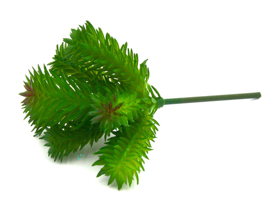 Artificial Succulent B Plant Lifelike With Zero Maintenance