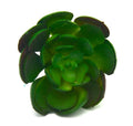 Artificial Succulent D Plant Lifelike With Zero Maintenance