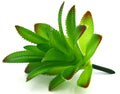 Artificial Succulent F Plant Lifelike With Zero Maintenance