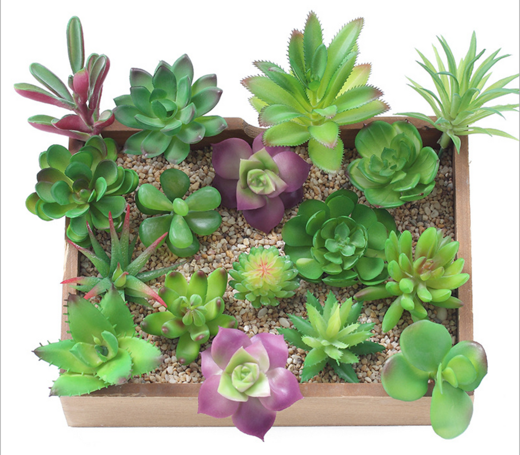 24 PCS Artificial Succulents Life Like With Zero Maintenance