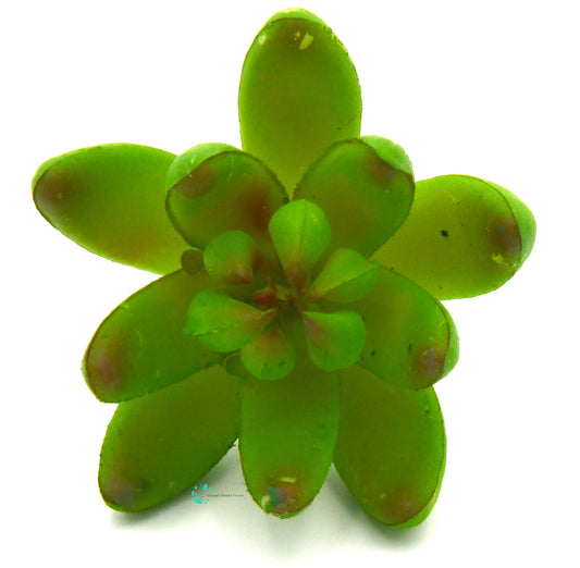 Artificial Succulent G Plant Lifelike With Zero Maintenance