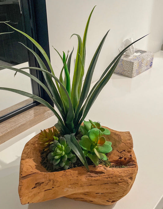 Artificial Succulent A Plant Lifelike With Zero Maintenance