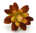 Artificial Succulent J Plant Lifelike With Zero Maintenance