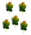 Artificial Succulent l Plant Lifelike With Zero Maintenance