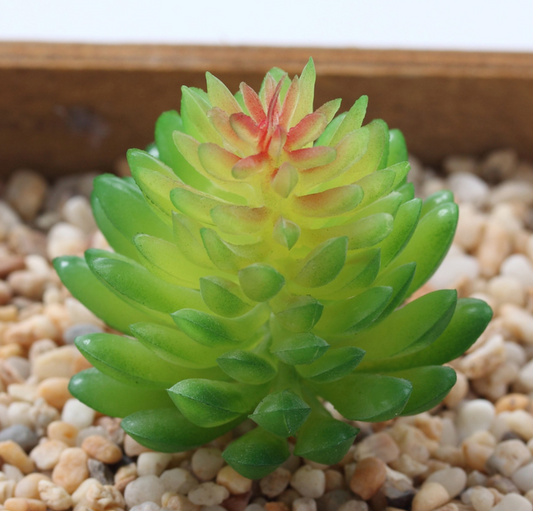 Artificial Succulent l Plant Lifelike With Zero Maintenance