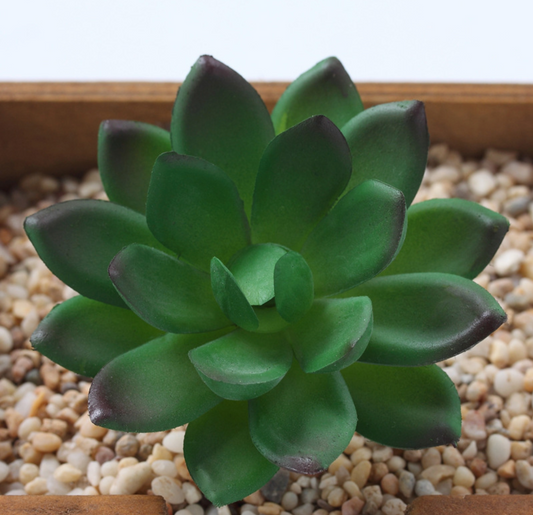 Artificial Succulent M Plant Lifelike With Zero Maintenance