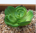 Artificial Succulent N Plant Lifelike With Zero Maintenance