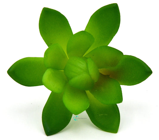 Artificial Succulent O Plant Lifelike With Zero Maintenance
