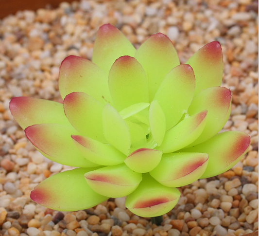 Artificial Succulent Plant P Lifelike With Zero Maintenance