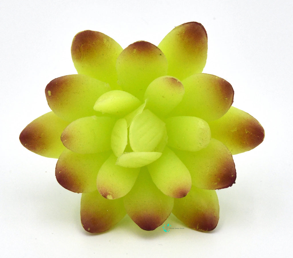 Artificial Succulent Plant P Lifelike With Zero Maintenance