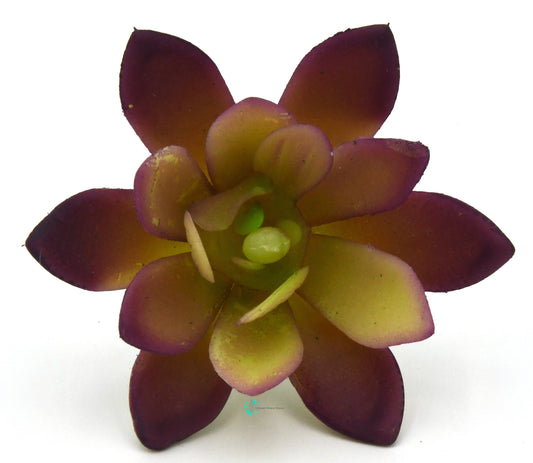 Artificial Succulent Plant Q Lifelike With Zero Maintenance
