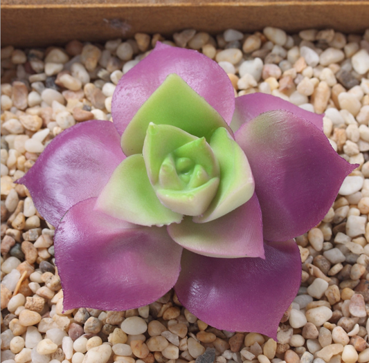 Artificial Succulent Plant S Lifelike With Zero Maintenance