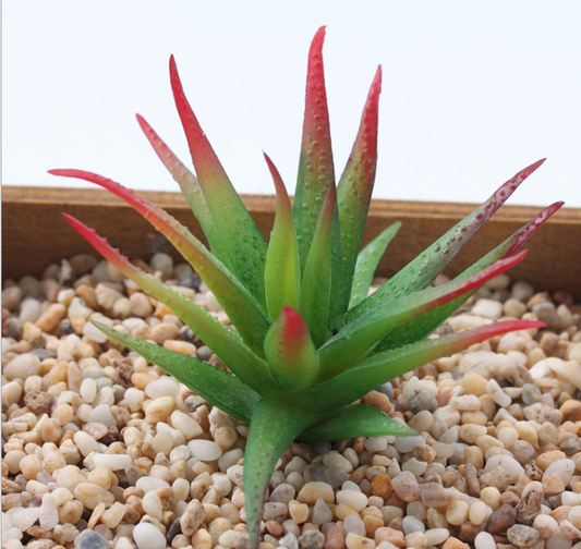 Artificial Succulent Plant V Lifelike With Zero Maintenance