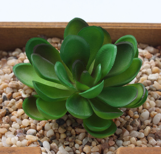 Artificial Succulent Plant Y Lifelike With Zero Maintenance