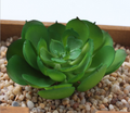 Artificial Succulent D Plant Lifelike With Zero Maintenance